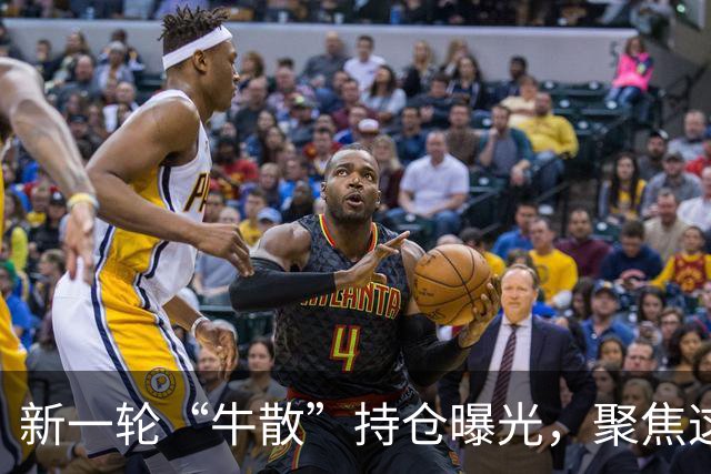 新一轮“牛散”持仓曝光，聚焦这些上市公司